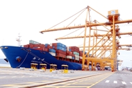 Hai Phong Port reaches 2-million-TEU milestone